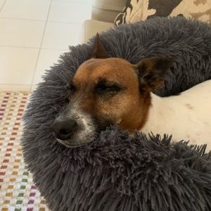 Meet your Posher, Jane